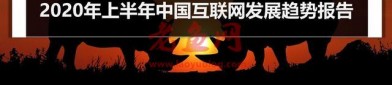 2020年上半年中国互联网发展趋势报告
