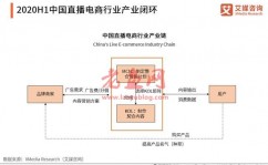 直播电商产业链及运行问题研究报告：直播电商乱象如何应对？