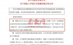 欠250万无力偿还，400亿服装巨头，被破产重整