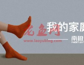 揭秘南极人：中国A股最另类的电商模式