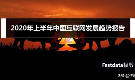 2020年上半年中国互联网发展趋势报告
