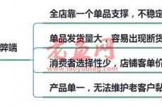 淘宝单爆款模式已经过时，我来教你如何从单爆款，延伸到全店爆款