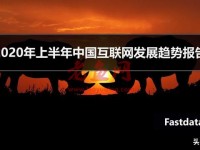 2020年上半年中国互联网发展趋势报告