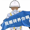 ZBLOG爱好者