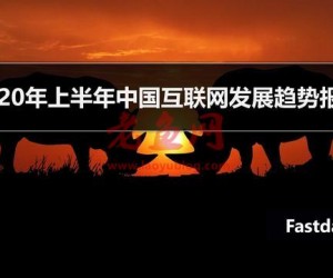 2020年上半年中国互联网发展趋势报告